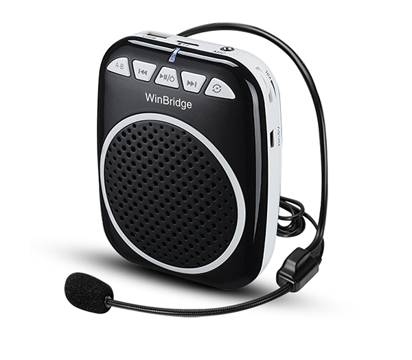 winbridge voice amplifier