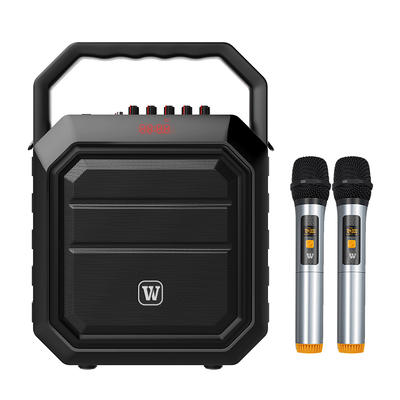 Winbridge K2 30Watt  Bluetooth portable karaoke speaker wireless voice amplifier with microphone